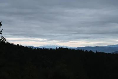 DSC_0143 (Large).JPG